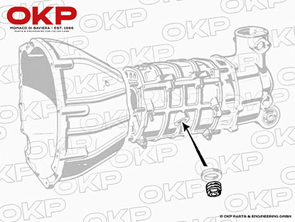 Ölablaßschraube Differential + Getriebe 750 / 101 / 105