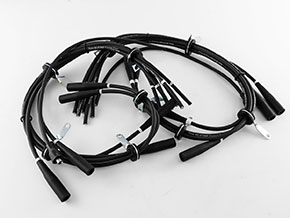 Set HT leads Ferrari 365 GT 2+2